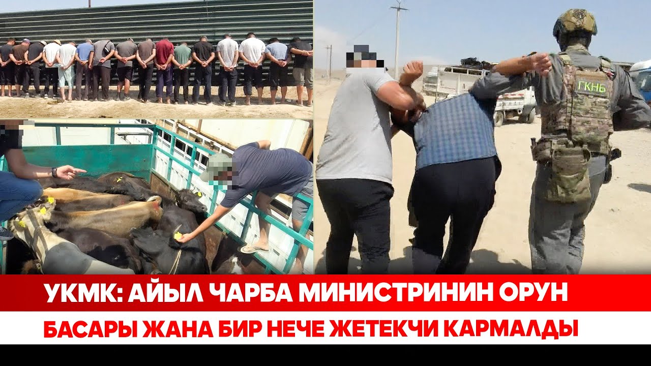 УКМК: Айыл чарба министринин орун басары жана бир нече жетекчи кармалды