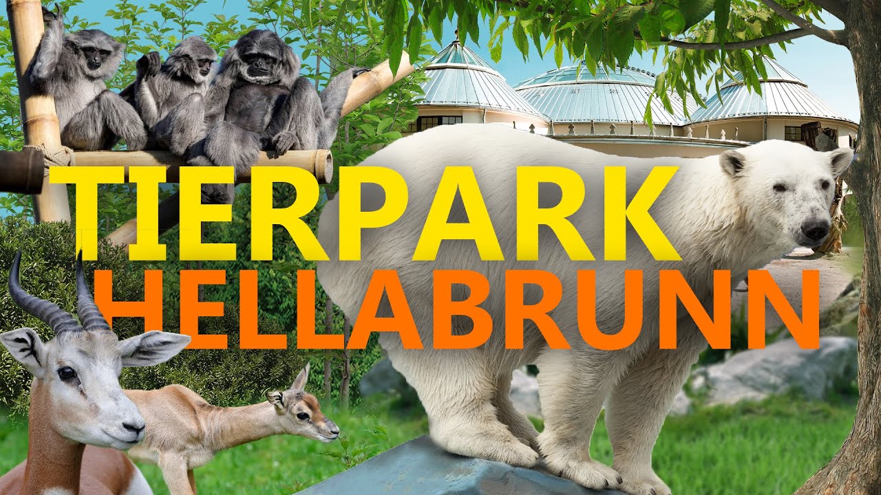 Tierpark Hellabrunn in München | Zoo-Eindruck