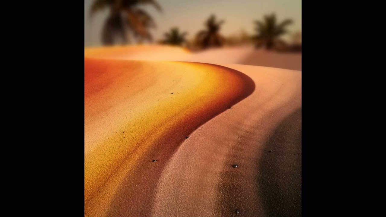 Altitude &ndash; Organic House / Downtempo Type Beat