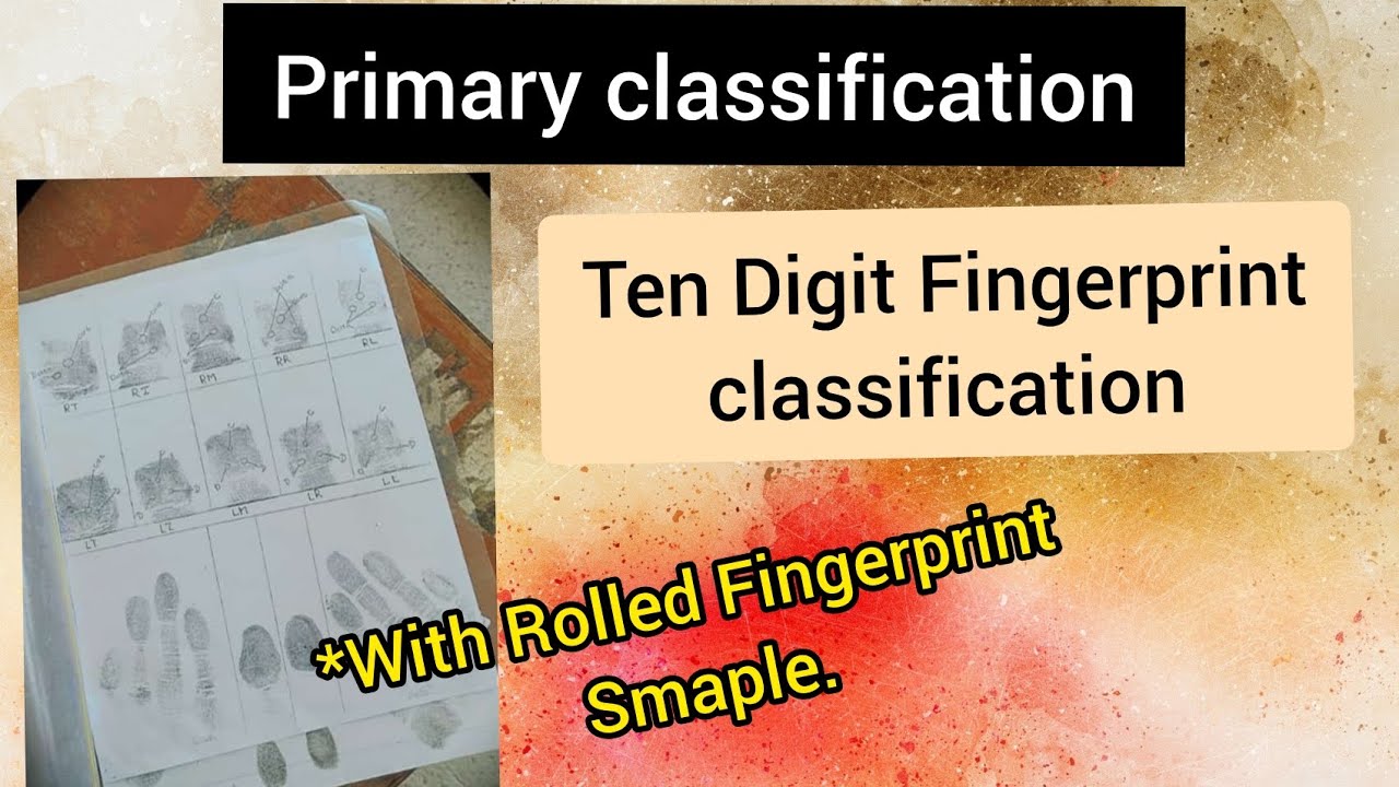 Primary Classification Of Fingerprints|| With Fingerprint Sample|| Forensic Science