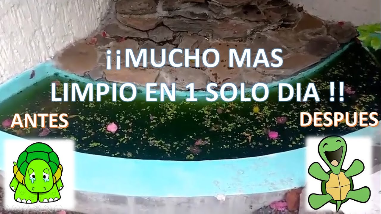 FILTRO CASERO PARA ESTANQUE DE TORTUGAS Y PECES.