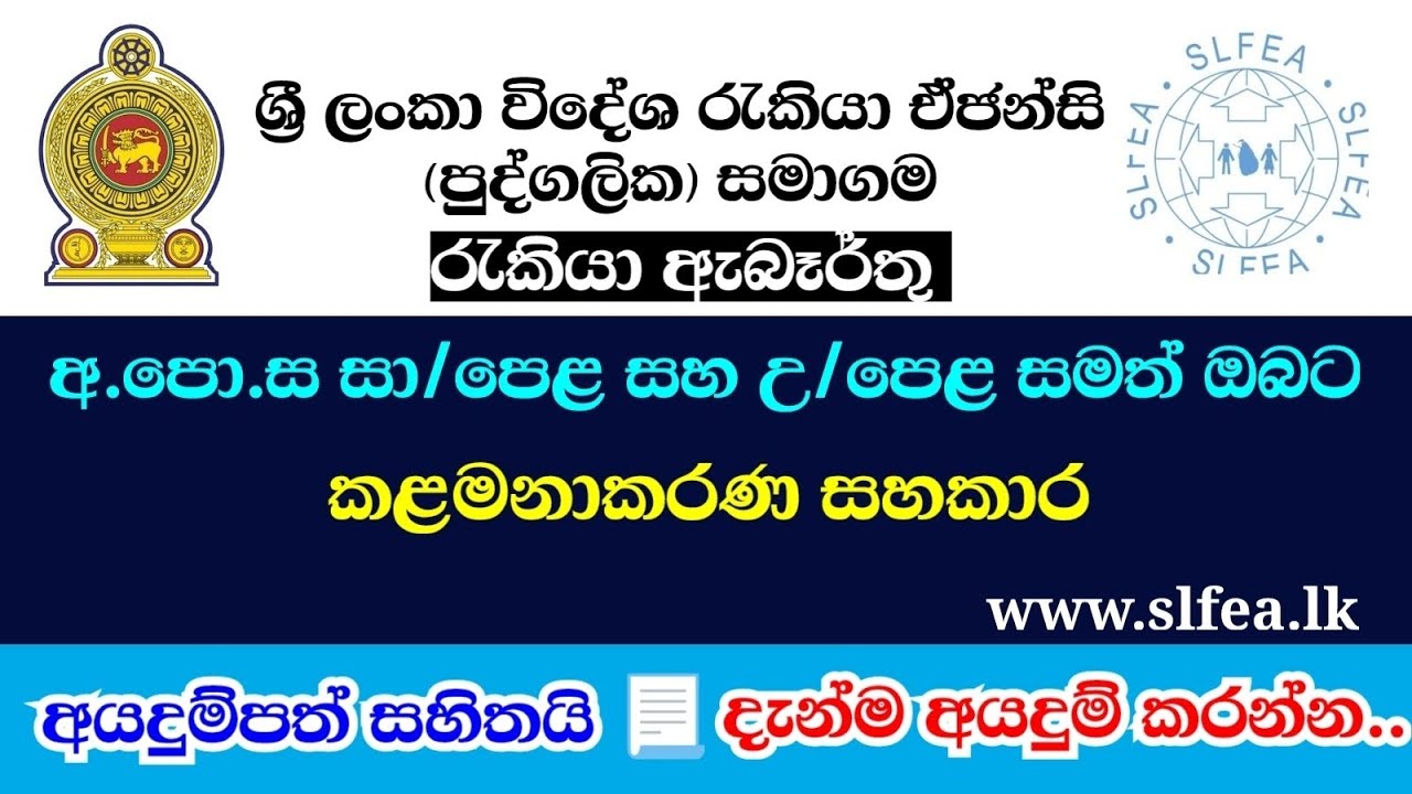 කලමණාකරණ සහකාර තනතුර - ශ්‍රී ලංකා විදේශ රැකියා ඒජන්සි පුද්ගලික සමාගමේ රැකියා අවස්ථා 2026