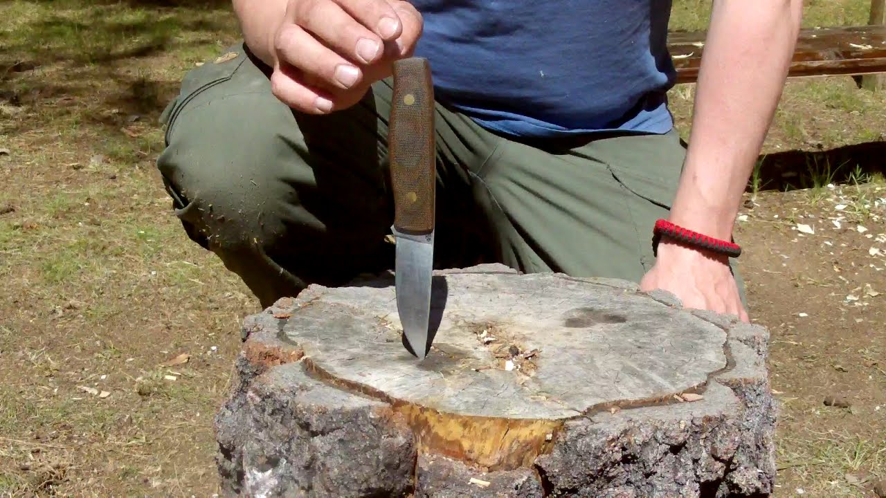 Thor-is-testing: Enzo - Elver 85
