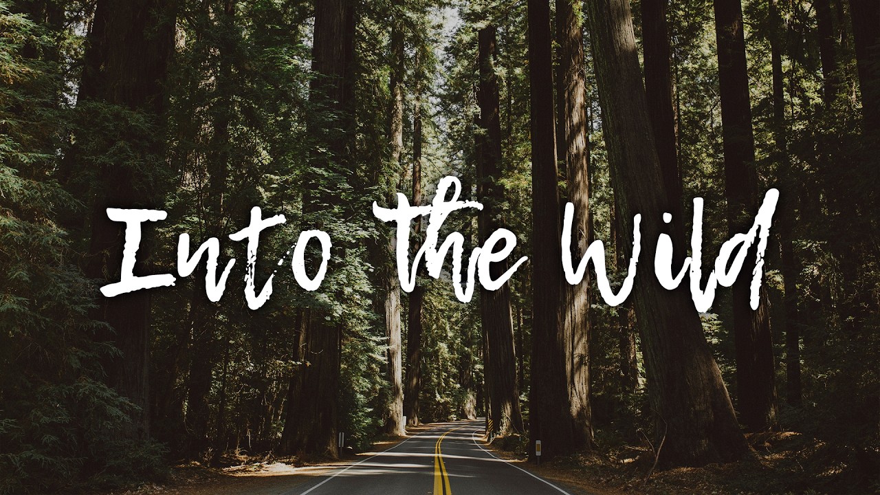 Into the Wild | Cozy Indie Folk for Long Drives