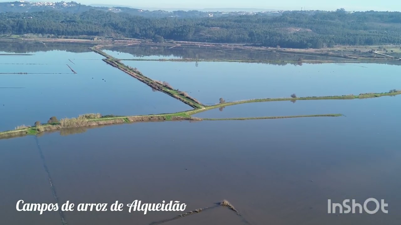 Campos de arroz  Alqueidão .mini 3 