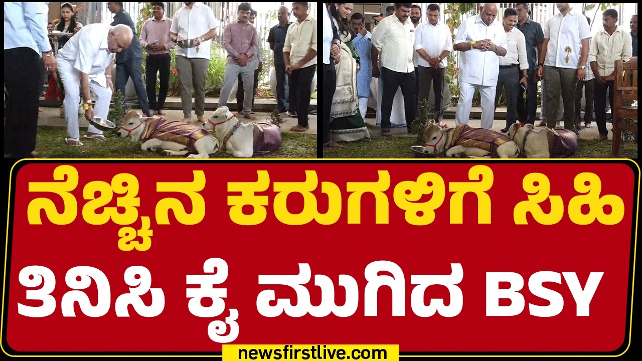 BS Yediyurappa Birthday : ನೆಚ್ಚಿನ ಕರುಗಳಿಗೆ ಸಿಹಿ ತಿನಿಸಿ ಕೈ ಮುಗಿದ BSY | BSY Family | Newsfirstkannada