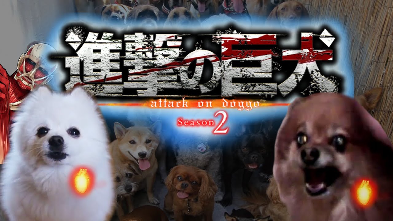 【진격의 거견】 op 「심장을 바쳐라」 강아지 리믹스 / attack on titan 2 dog cover