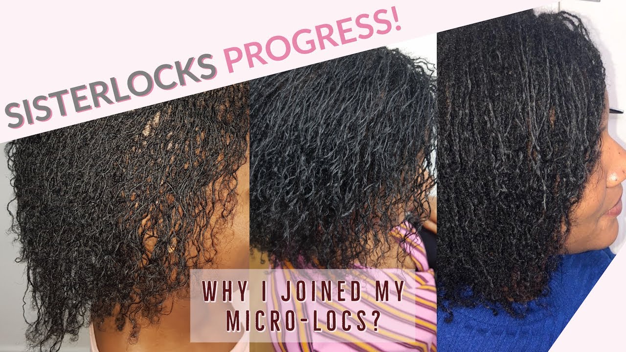 8 MONTHS SISTERLOCKS UPDATE WITH PHOTOS | Build Up, Joining my Micro-locs, Self-Reti + more...