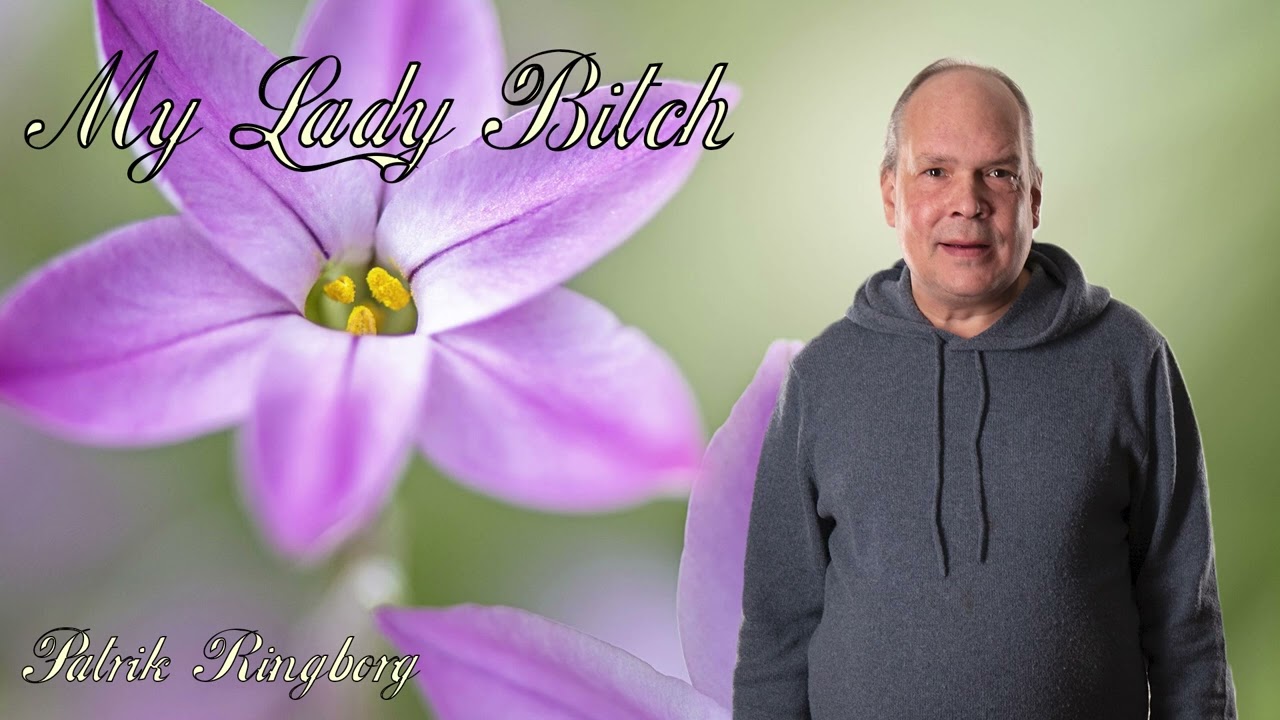 My Lady Bitch - Patrik Ringborg