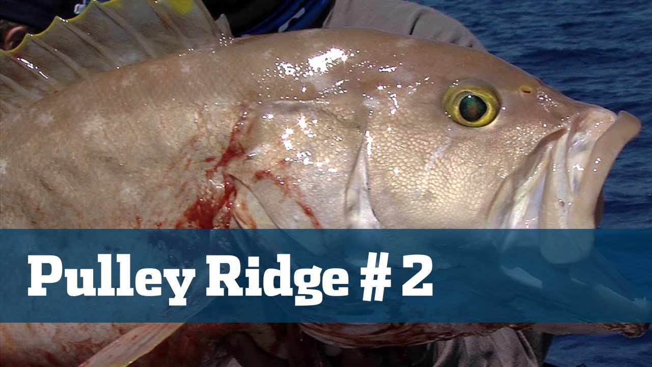Hot Bite On The Legendary Yankee Capts -  Florida Sport Fishing TV - Gulf Grouper Snapper Deep Drop