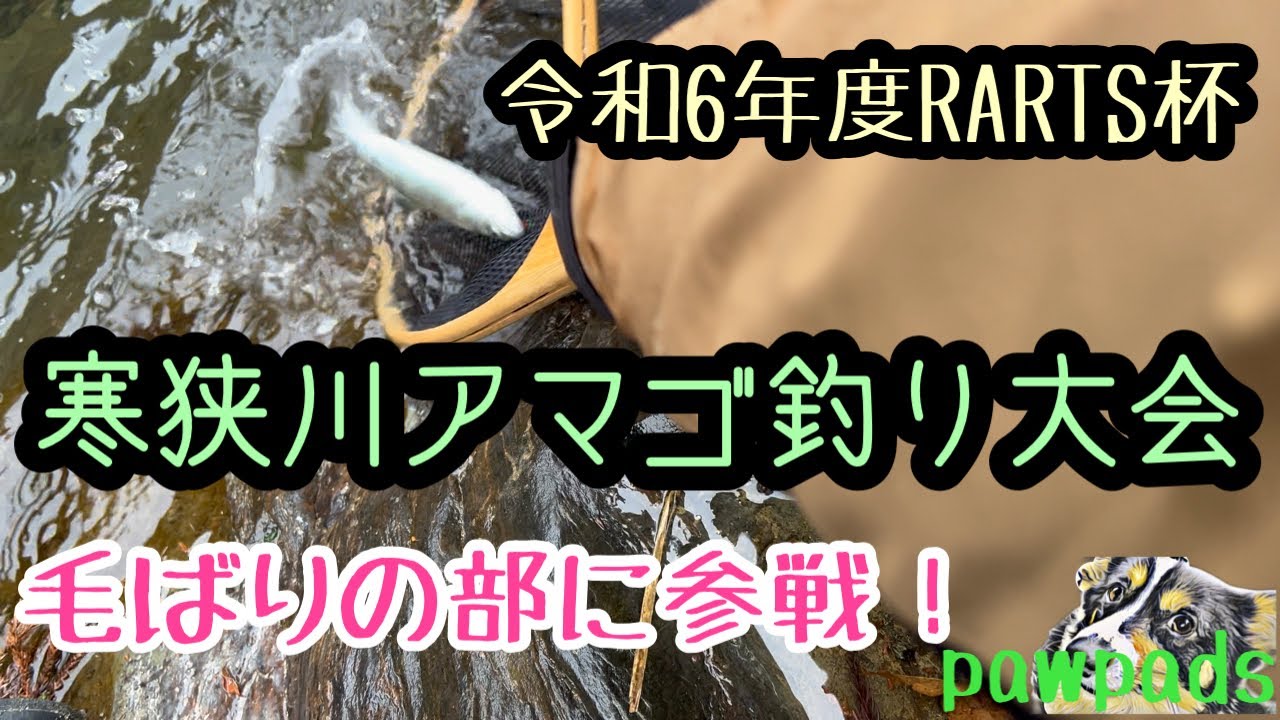 愛知県寒狭川のアマゴ釣り大会に毛ばりの部でエントリー❣️ 果たして結果は？？？