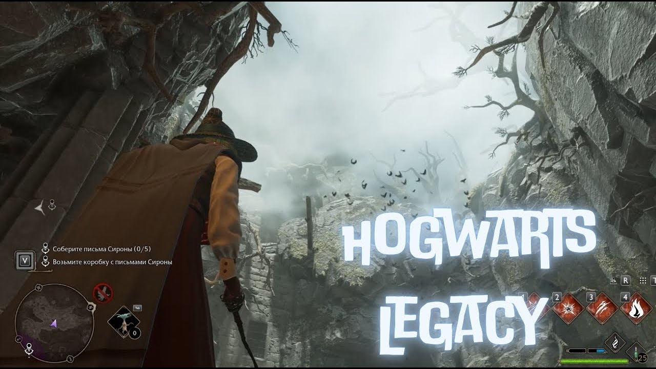 HOGWARTS LEGACY | Впервые прохожу Хогвартс Легаси за члена семьи Блэков