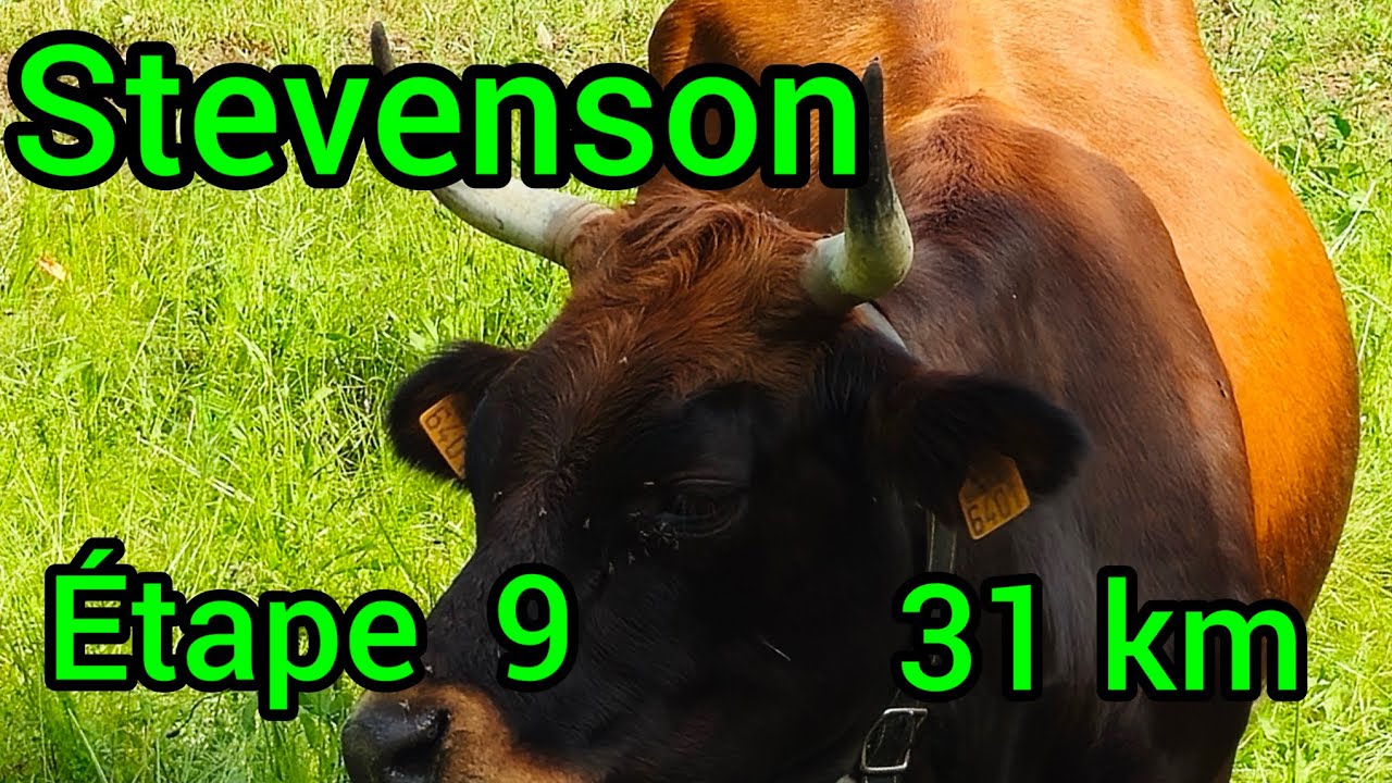 Stevenson étape 9