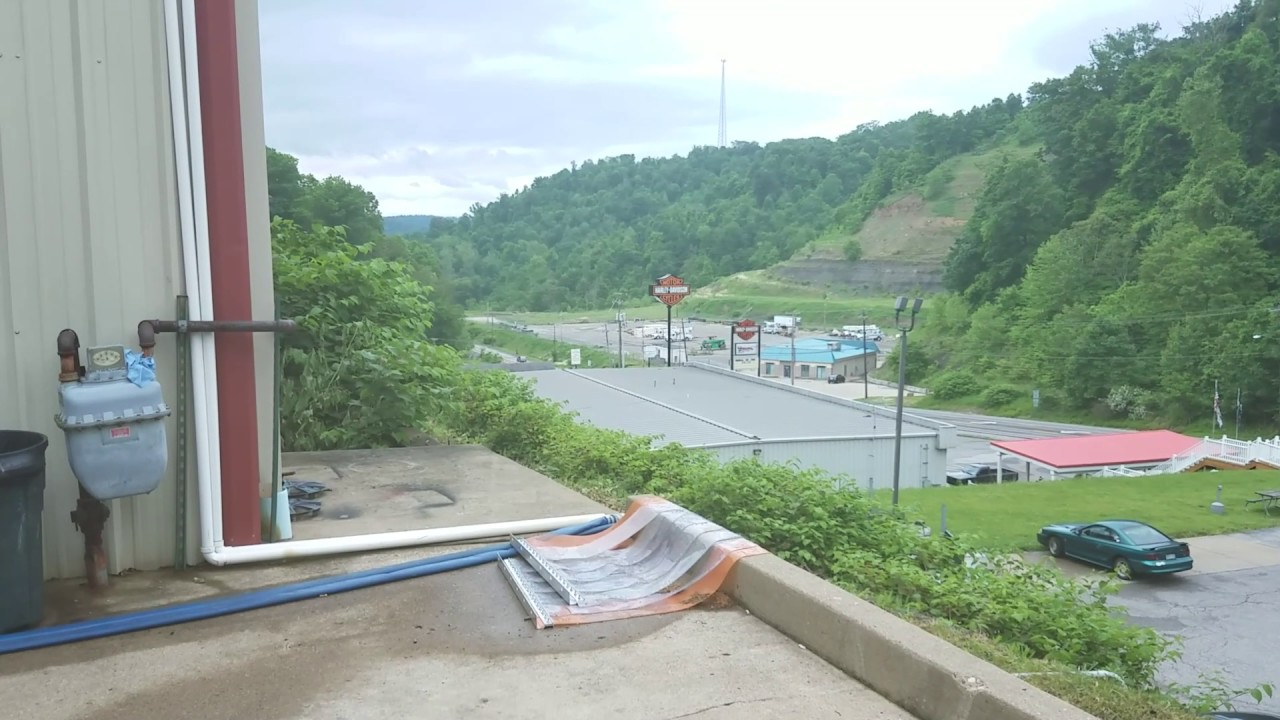 Поймайте и отпустите нашего спасенного гоночного голубя.