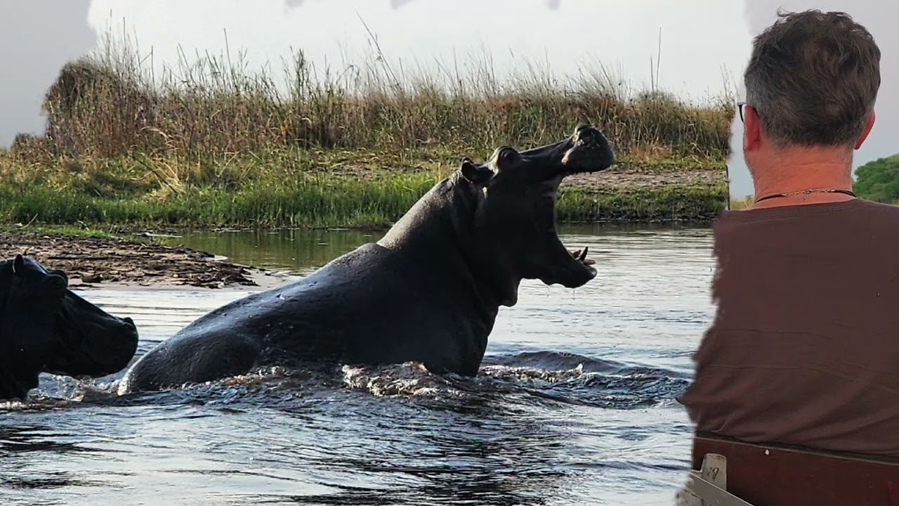 Namibia And Botswana November 2025.