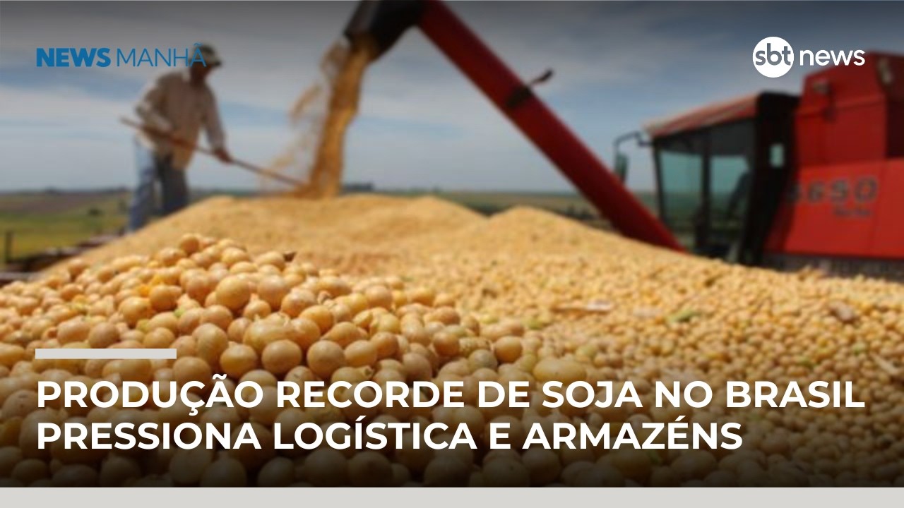 Brasil deve colher a maior safra de soja da história | #NewsManhã