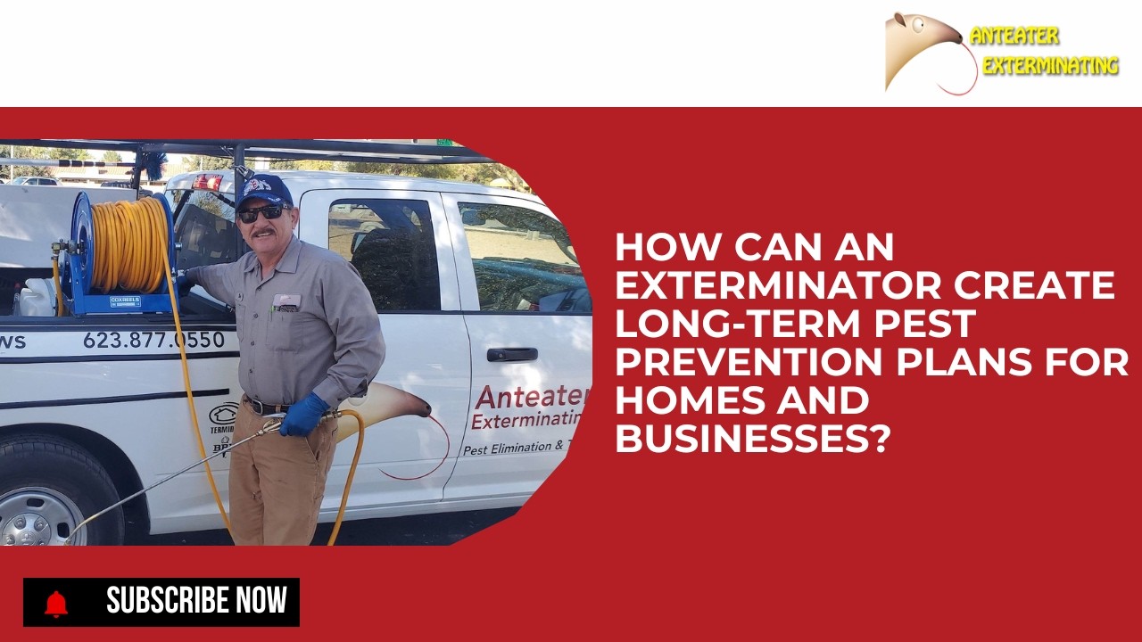 How Can an Exterminator Create Long-Term Pest Prevention Plans for Homes and Businesses?