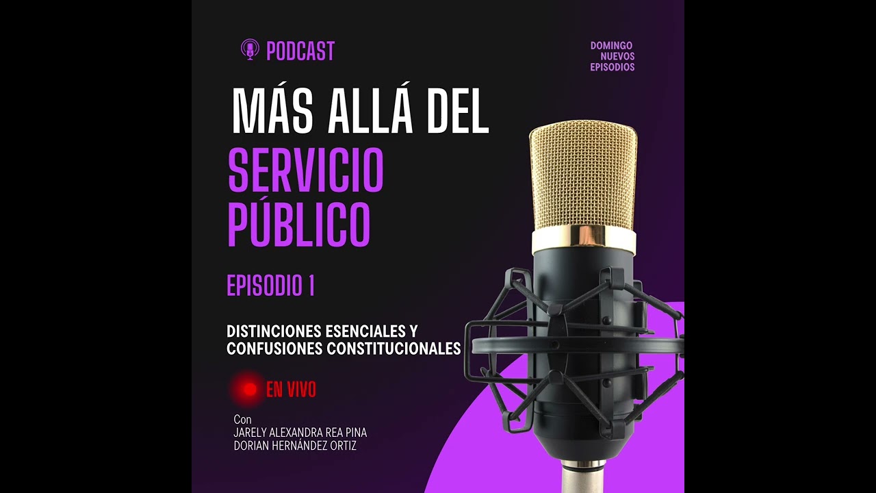 Más allá del servicio público 