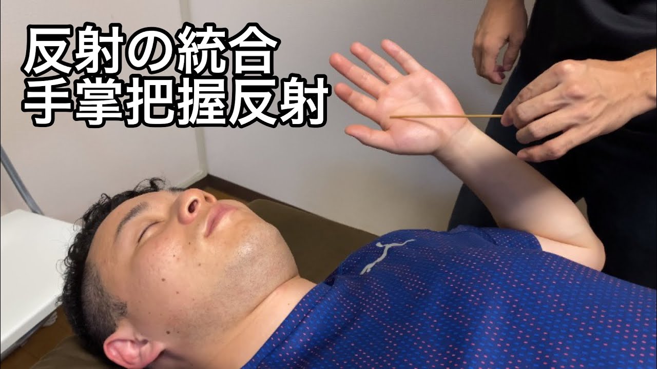 原始反射の統合を手技でやってみた:手掌把握反射