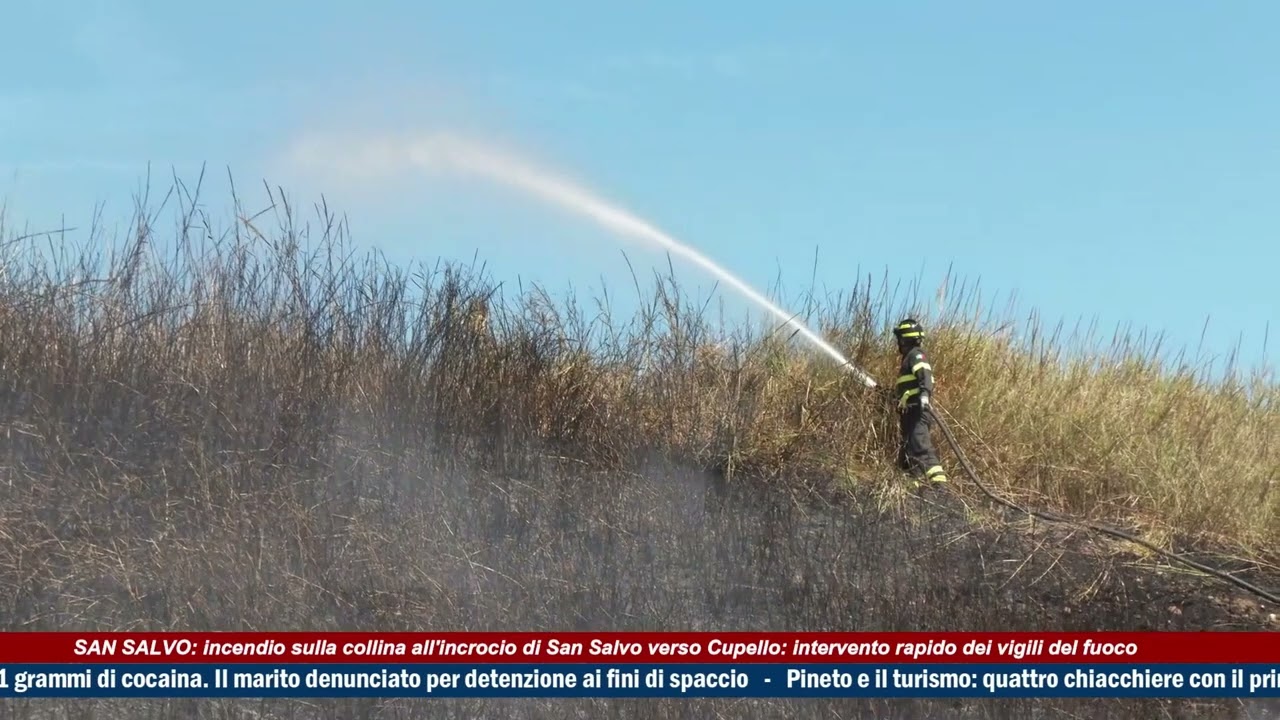 San Salvo: incendio sulla collina verso Cupello - TRSP - Abruzzo - News del 04-09-2025