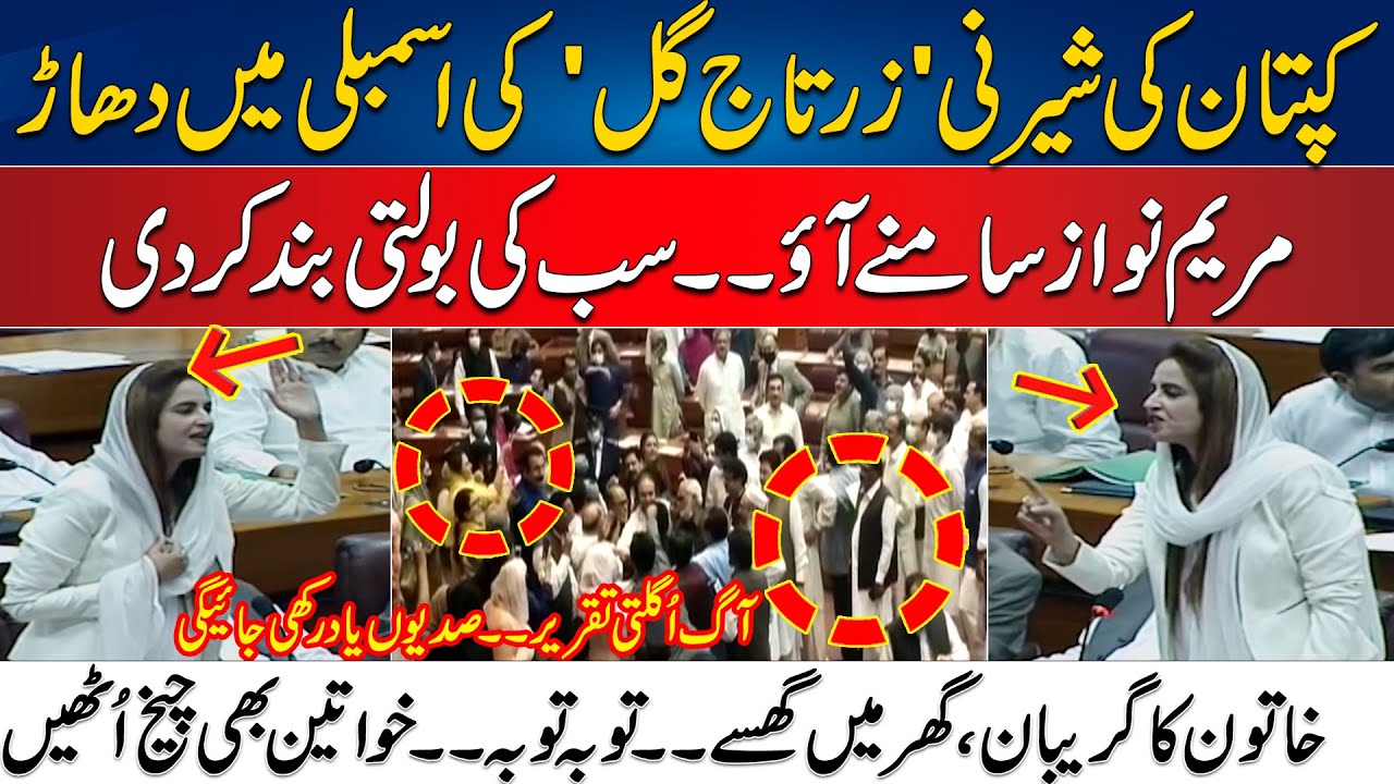 Zartaj Gull Fiery Speech In Assembly - Aisa Bolien K Sab Chup - Deikhty Reh Gaye | Hungama Hogya