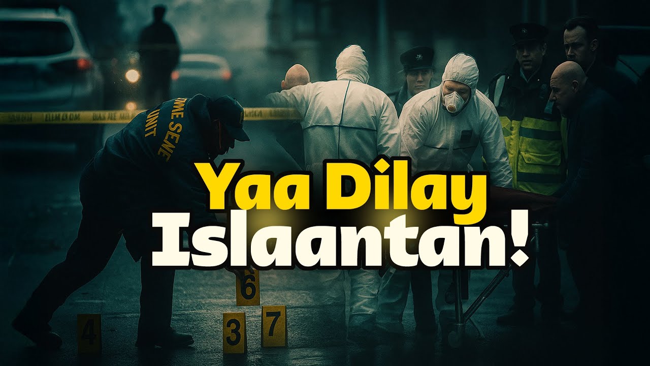 Gurigeedda ayaa 2dii habeenimo lagu dhex dilay! Dhacdo ka dhacday Dalka Ireland🇮🇪!