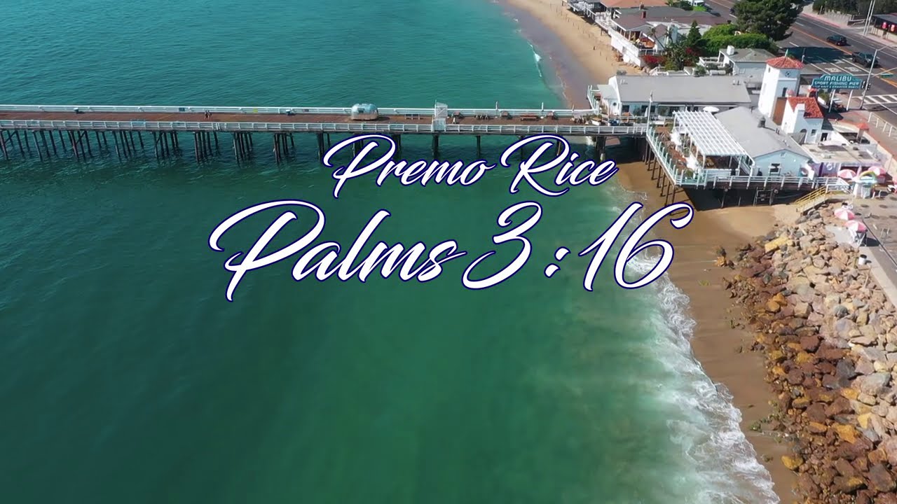 Premo Rice - Palms 3:16