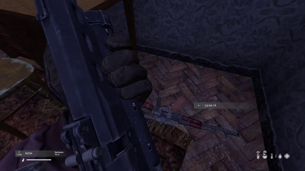 Live DayZ PS5 - Chernarus