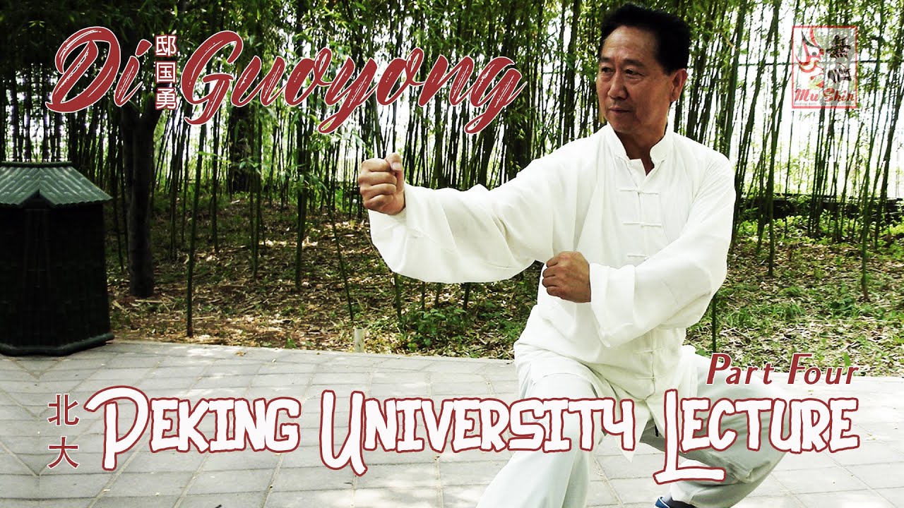 Di Guoyong - Peking University Lecture - Part Four