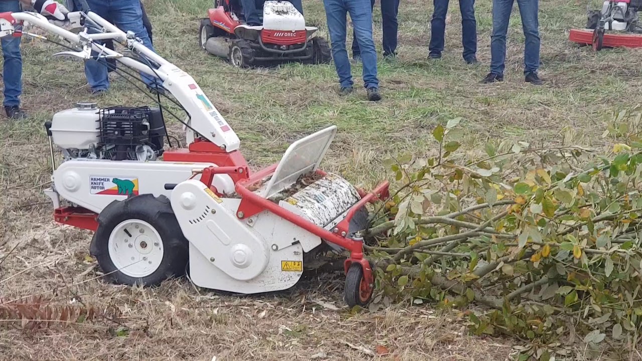 Kosiarka karczownica orec HR672H vs gałęzie
