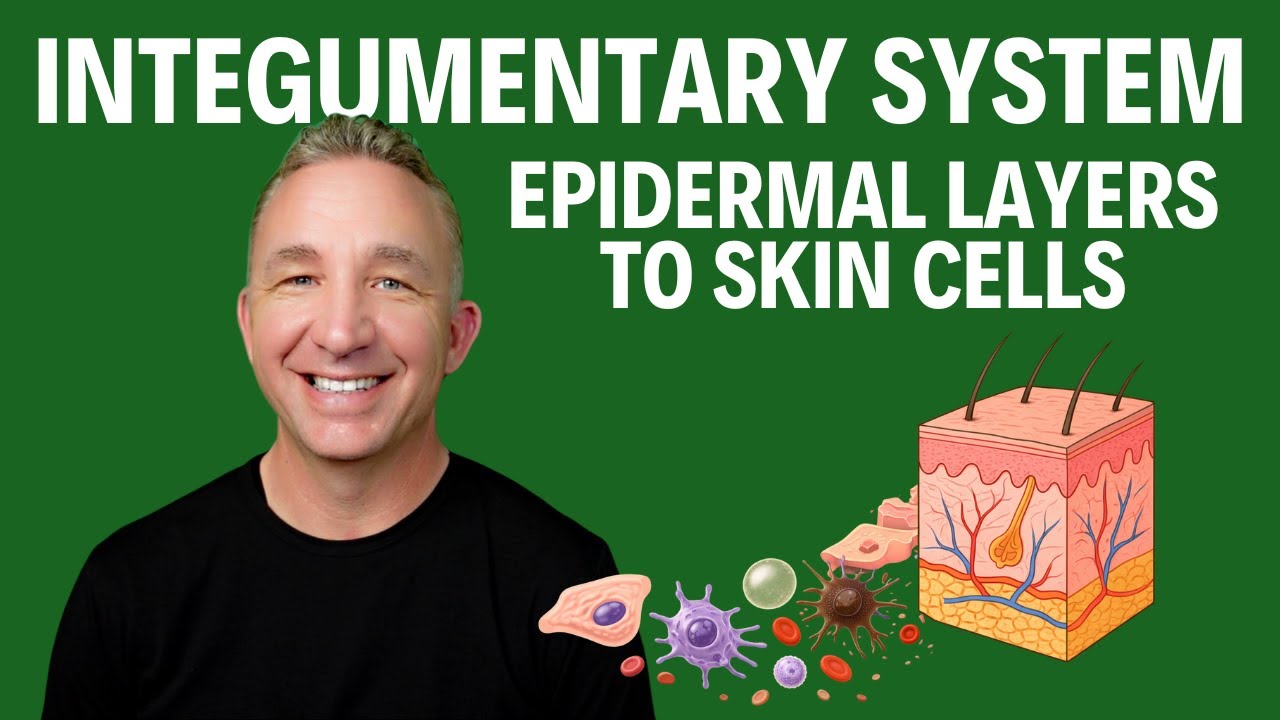 Integumentary System | Epidermis, Dermis, and Hypodermis + Histology of Skin (FULL LECTURE)