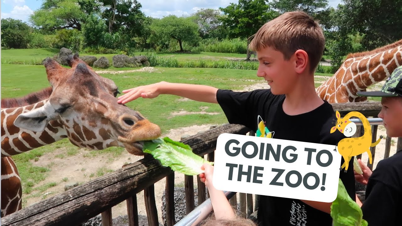 VISITING MIAMI ZOO! WE FED GIRAFFES! | The Radford Family