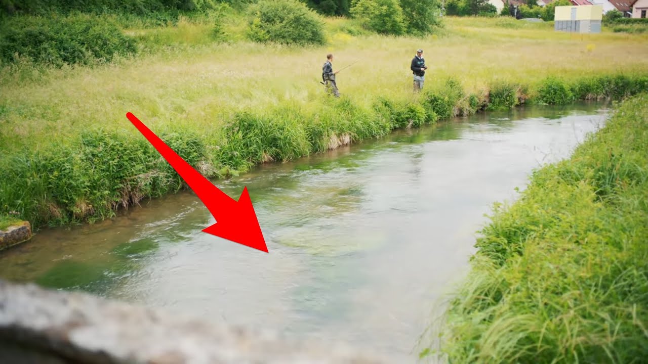In diesem kleinen Wiesenbach lebt ein  Monsterfisch !