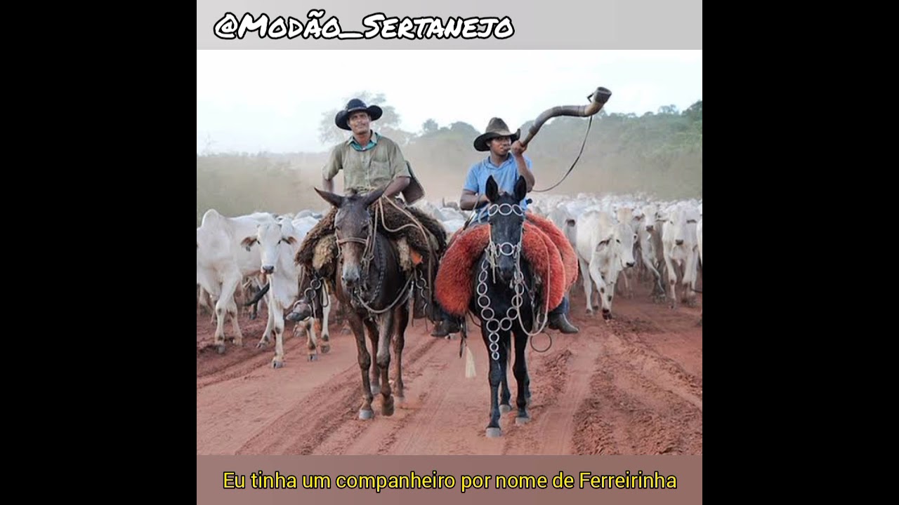 Ti&atilde;o Carreiro e Pardinho - Morte de Ferreirinha (LETRA)