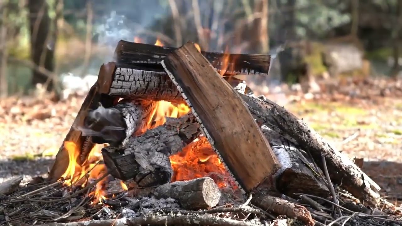 Serene Campfire A Soothing Nature Escape | Lo-Fi | ASMR