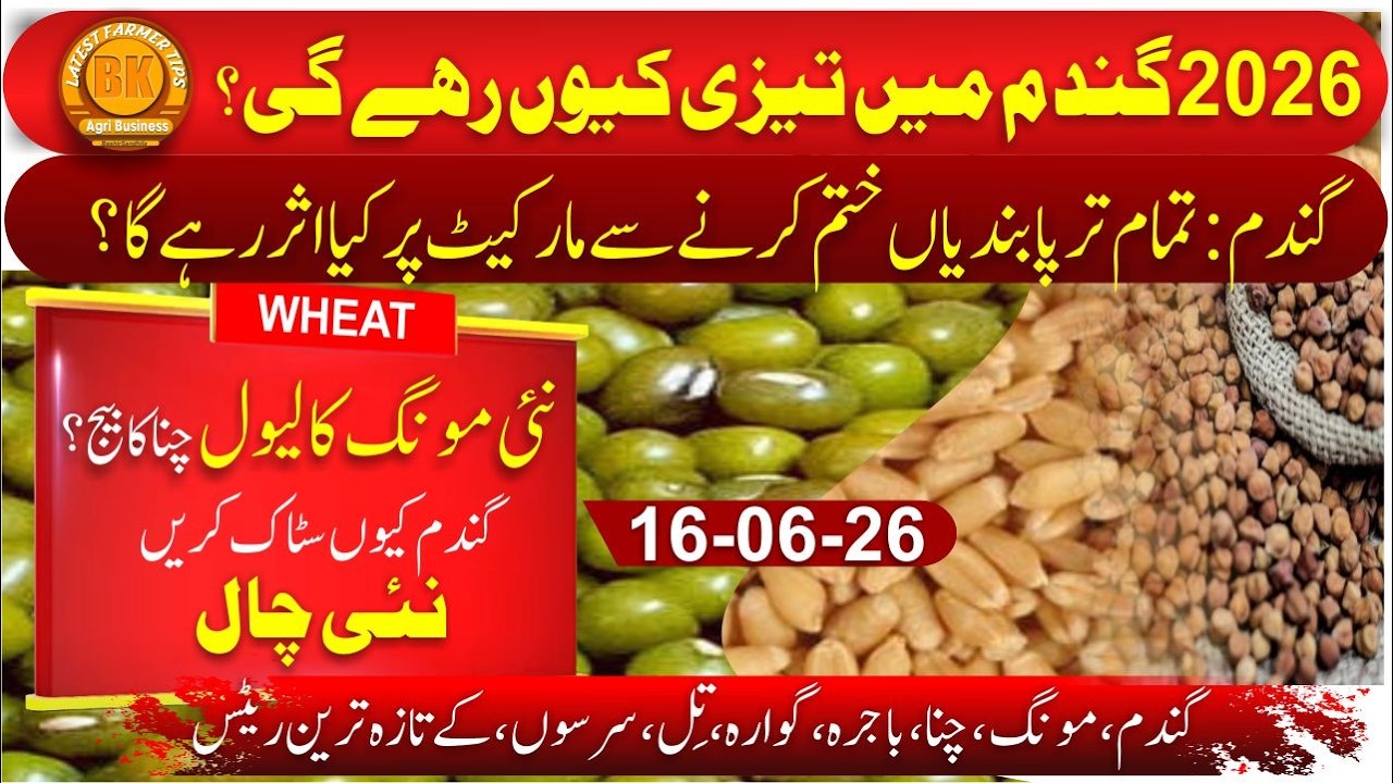 Wheat Rate Shock 2026 | Bajra Price | Guar Latest Market News | Pakistan Agriculture Crisis & Trend