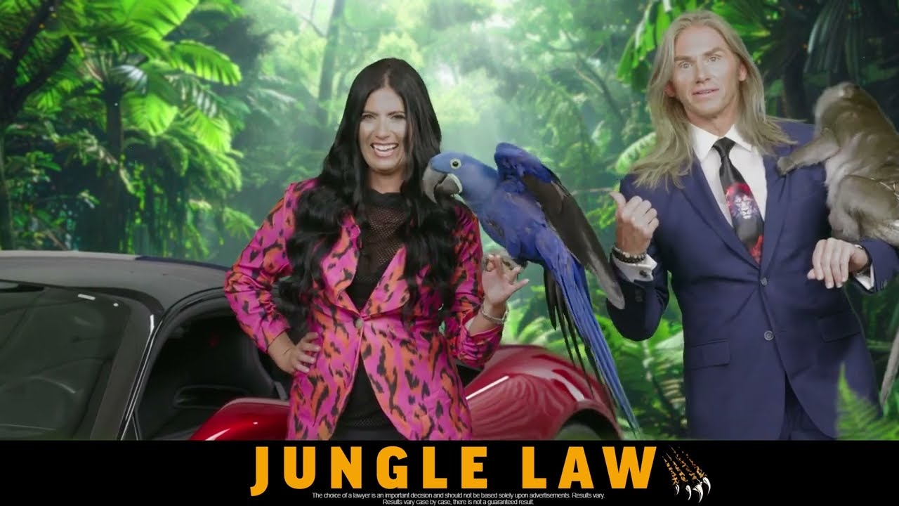 Car Accident & Personal Injury Lawyers | Kansas City & St. Louis, MO | Jungle Law