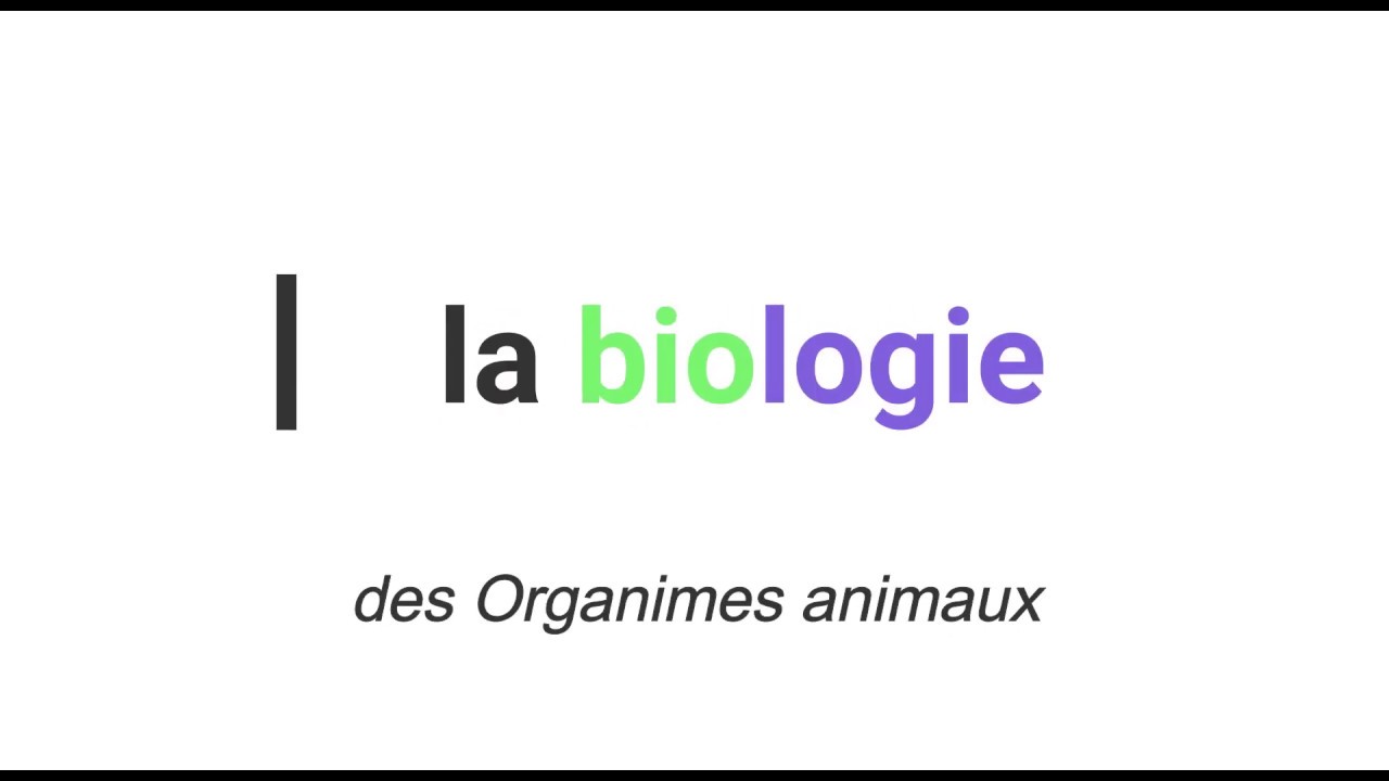 Thermogen&egrave;se Et Thermolyse Partie 1