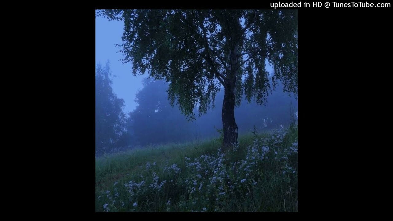 [FREE] sad type beat – “Paradise” | ambient x experimental