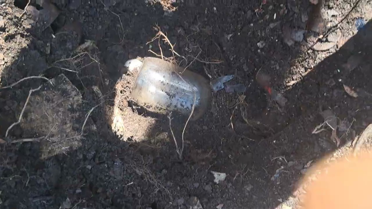 Amazing  Treasure Buried In The Woods!!!!