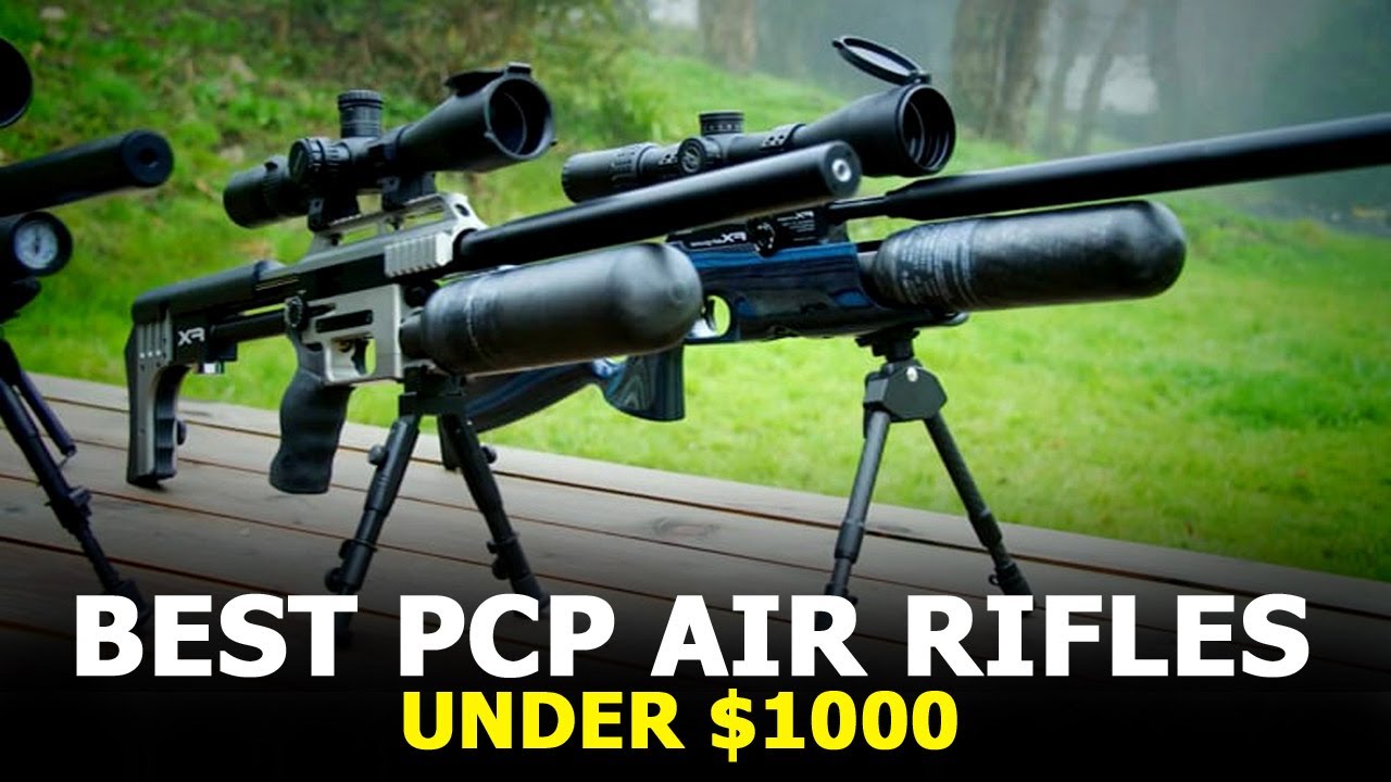 Best PCP Air Rifle Under $1000 - Top 5 Best Air Rifles 2025