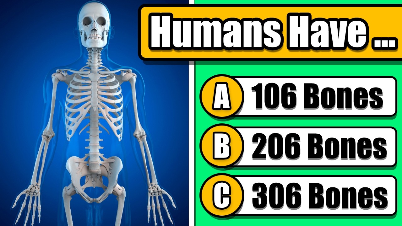 Human Body General Knowledge Quiz 🦴❤️ | 50-Question Challenge About Anatomy and Physiology