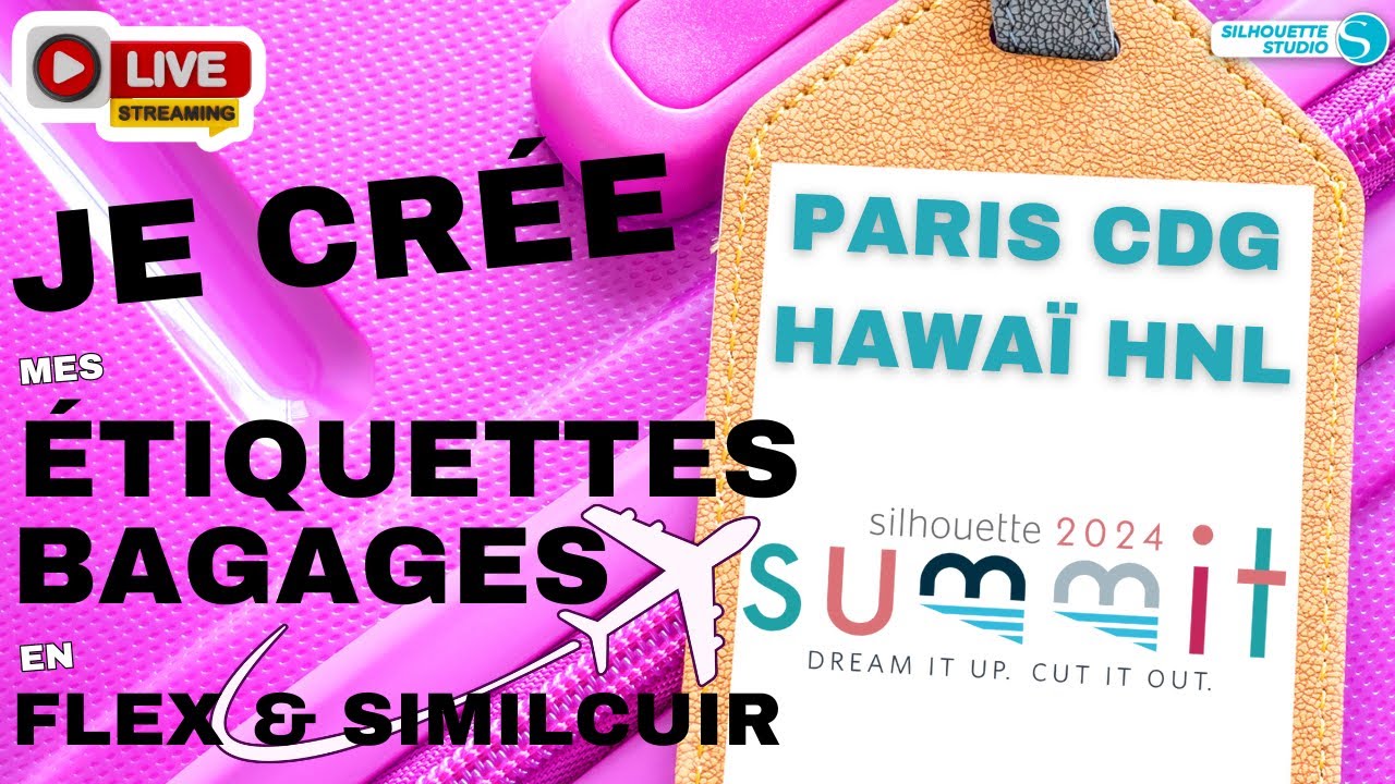 PERSONNALISER ses BAGAGES avec des ÉTIQUETTES sur MESURE avec Silhouette #silhouette.europe.bv