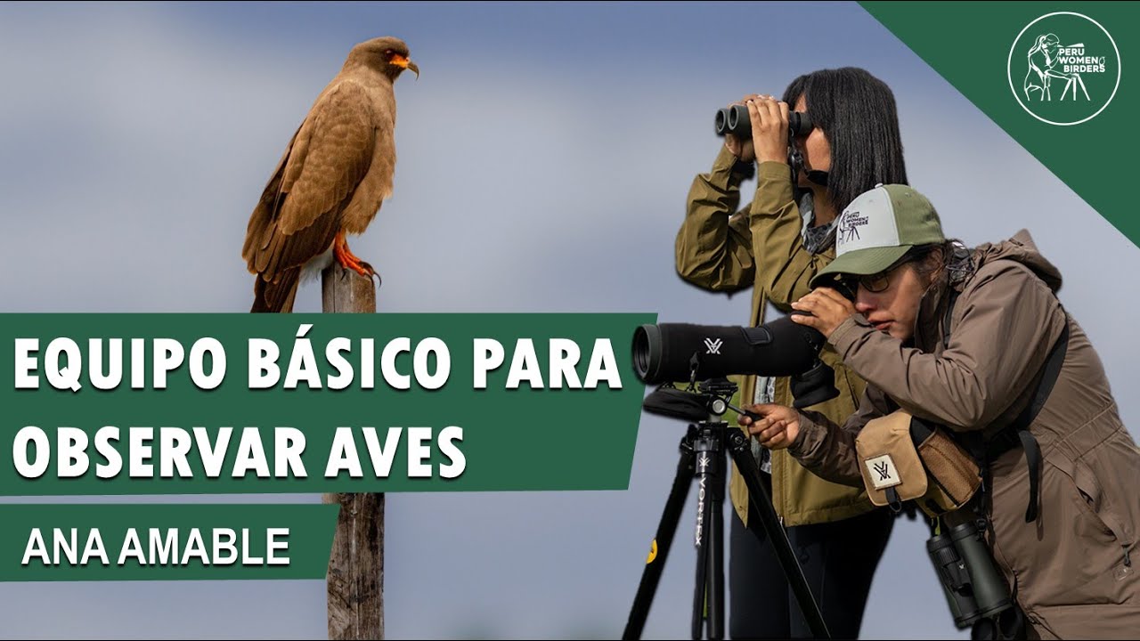 EQUIPO BÁSICO PARA OBSERVAR AVES | Ana Amable