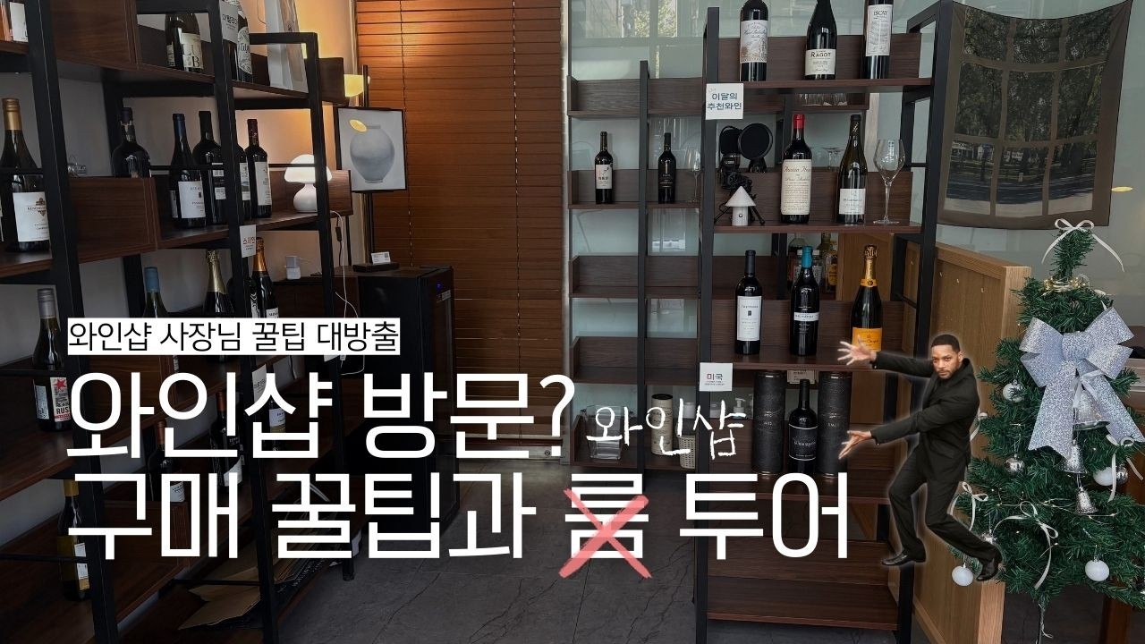 [와인샵] 와인샵을 간다면? 나만의 꿀팁 및 룸투어(교대 파인와인!)