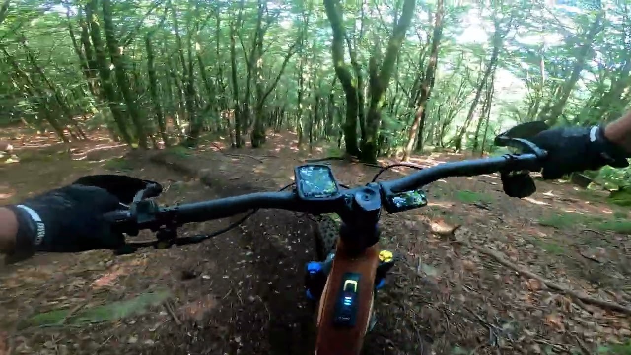 Vttae enduro  Albine  81