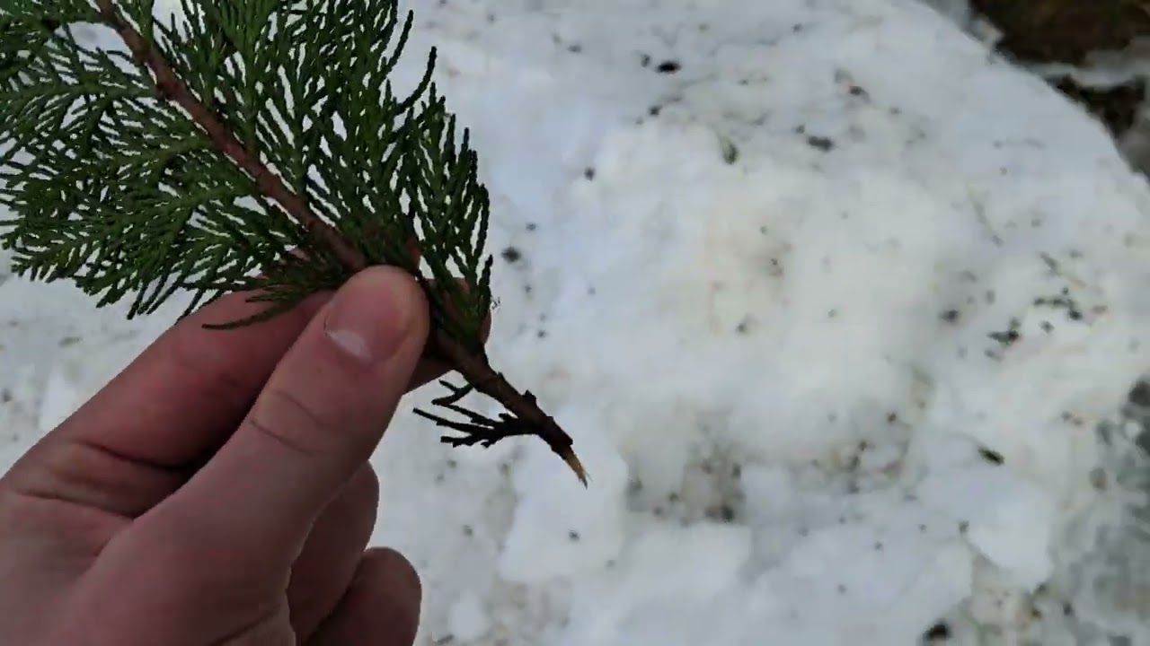 Stopil se je snega iz šotora.