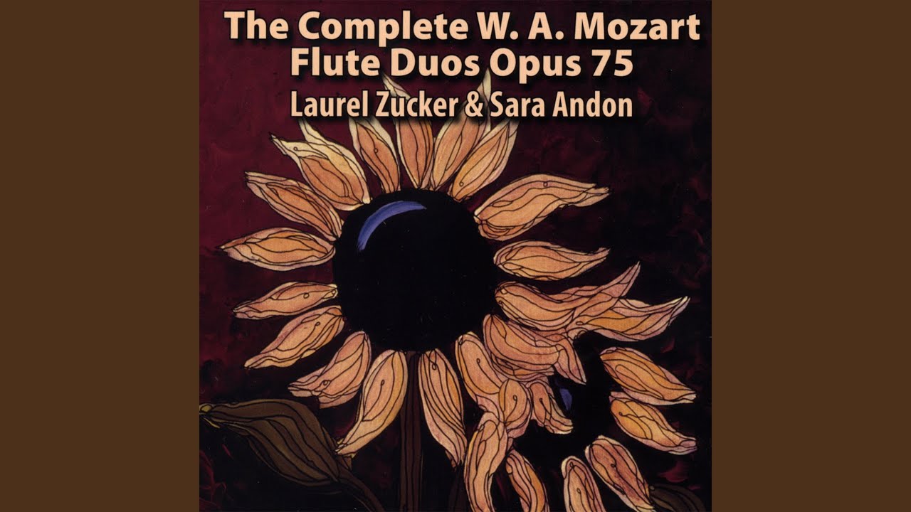 Mozart Duo No. 5-allegro