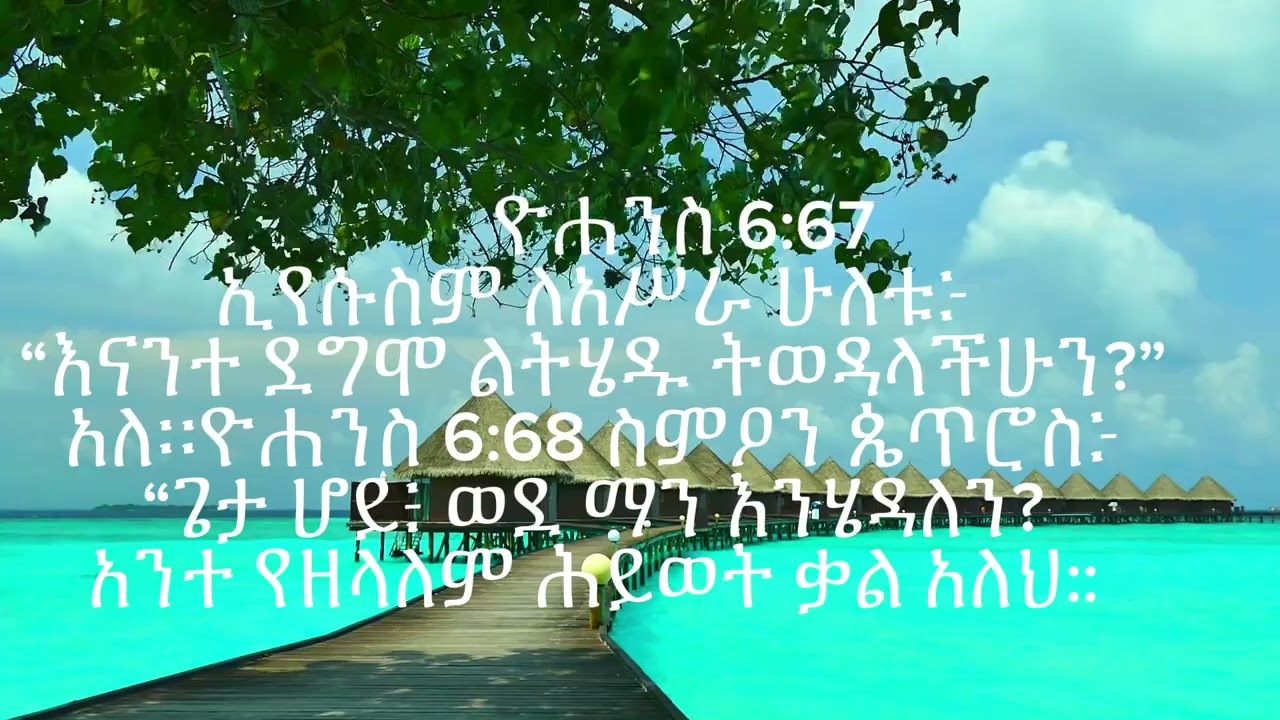 ካንተ ወዴት እሄዳለው?