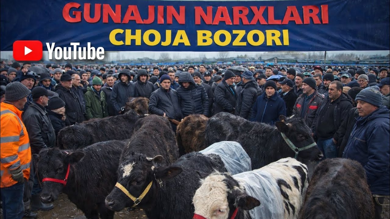 Andijon shahrixon holdonbek choja bozori hunajin narxlari bilan tanishamiz...